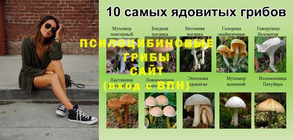 гидра Бронницы