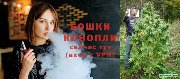 гидра Бронницы