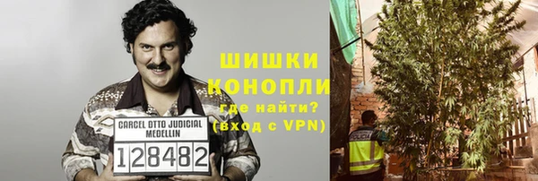 гидра Бронницы