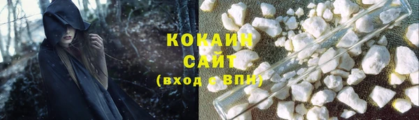 гидра Бронницы